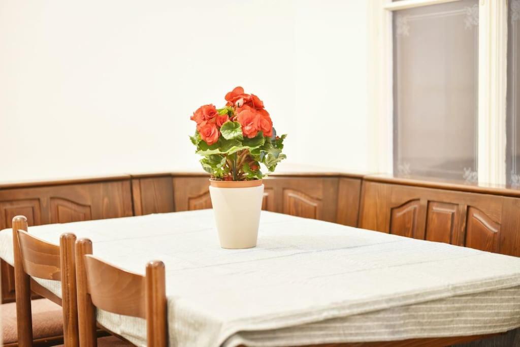 Charming Spacious Apartment Vienne Extérieur photo