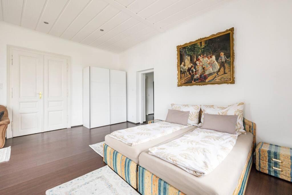 Charming Spacious Apartment Vienne Extérieur photo